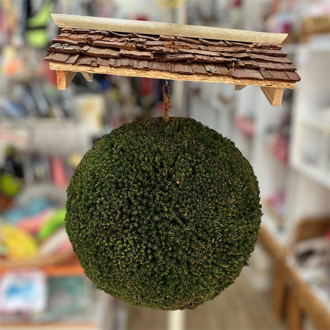 杉玉【屋根付き】①