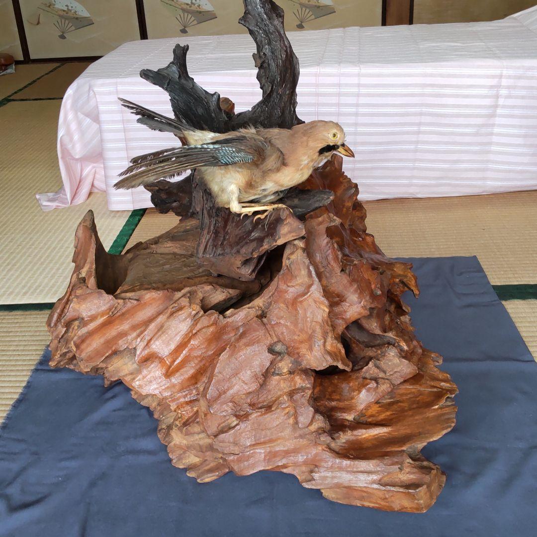 天然木の置物 鳥の剥製2羽付き インテリア