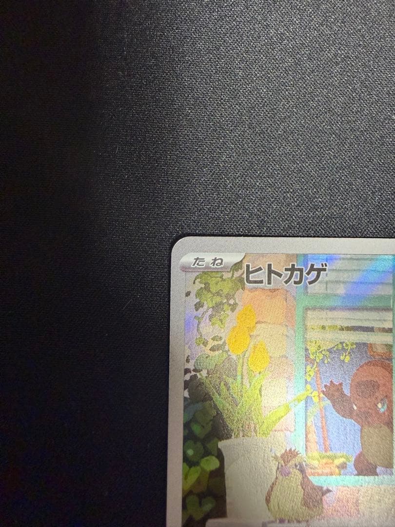 フシギダネ ヒトカゲ ゼニガメ スペシャルデッキセット プロモ 3枚セット