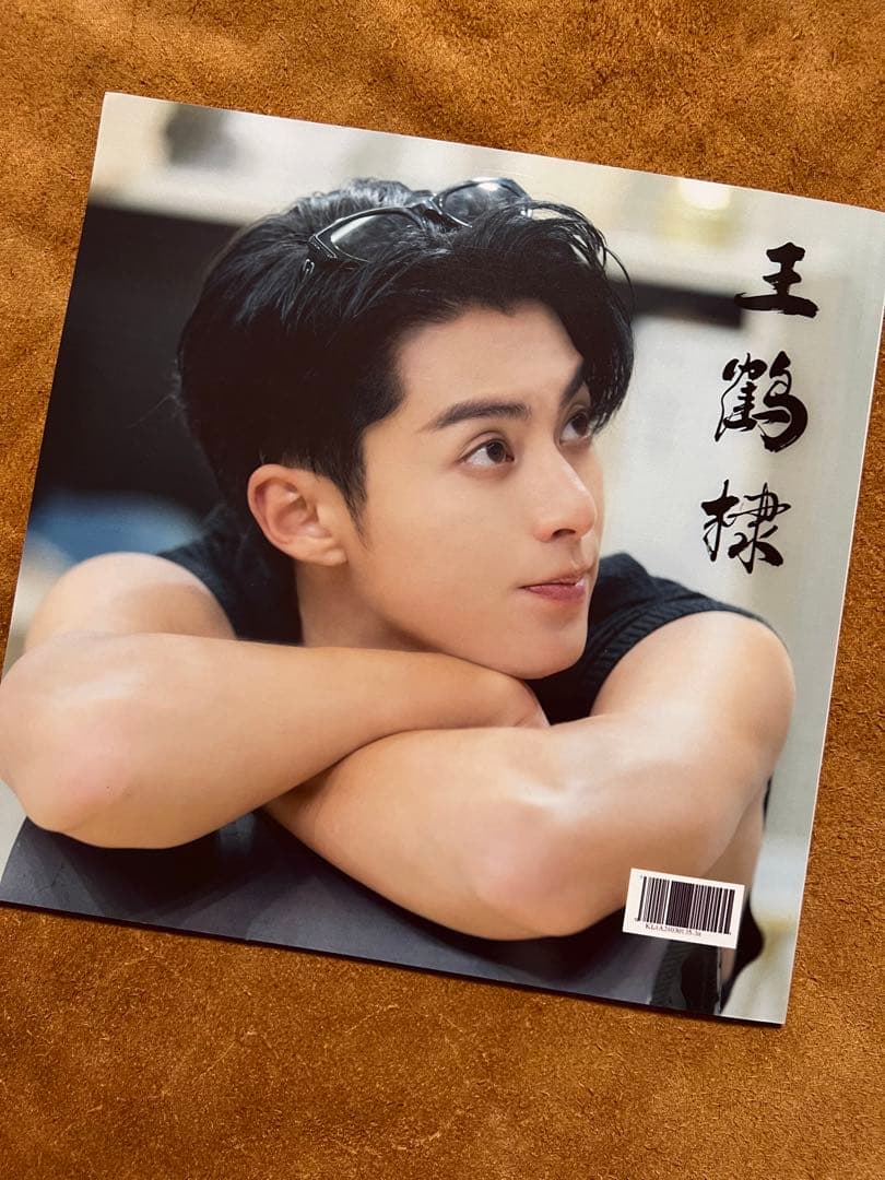 蒼蘭訣 王鶴棣　110枚写真入り個人写真集ワンホーディー写真集34p2023-1