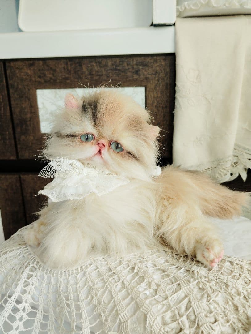リッズ様御予約❤ペルシャ子猫♡タレ目ちゃん♡アートドール♡ぬいぐるみ♡