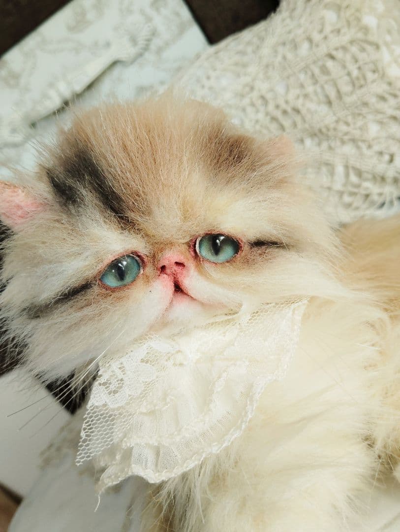 リッズ様御予約❤ペルシャ子猫♡タレ目ちゃん♡アートドール♡ぬいぐるみ♡