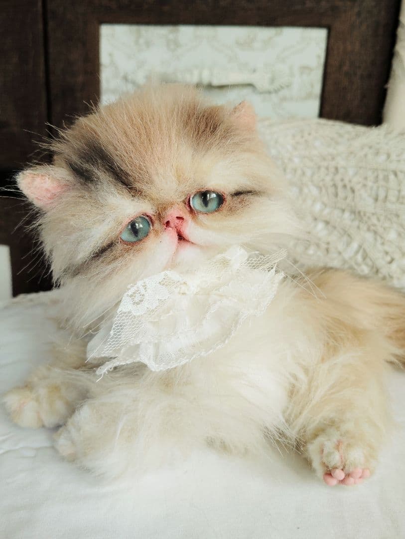 リッズ様御予約❤ペルシャ子猫♡タレ目ちゃん♡アートドール♡ぬいぐるみ♡