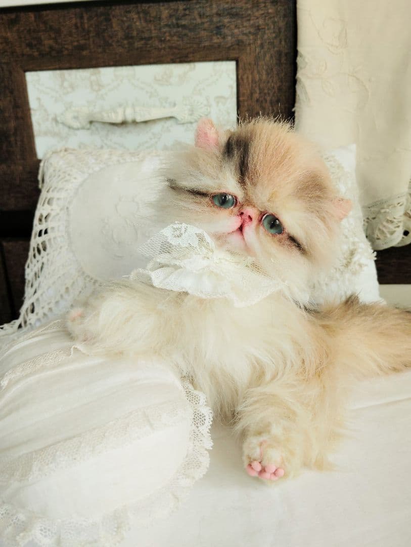 リッズ様御予約❤ペルシャ子猫♡タレ目ちゃん♡アートドール♡ぬいぐるみ♡