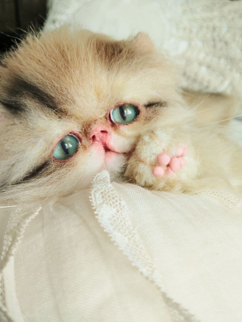 リッズ様御予約❤ペルシャ子猫♡タレ目ちゃん♡アートドール♡ぬいぐるみ♡