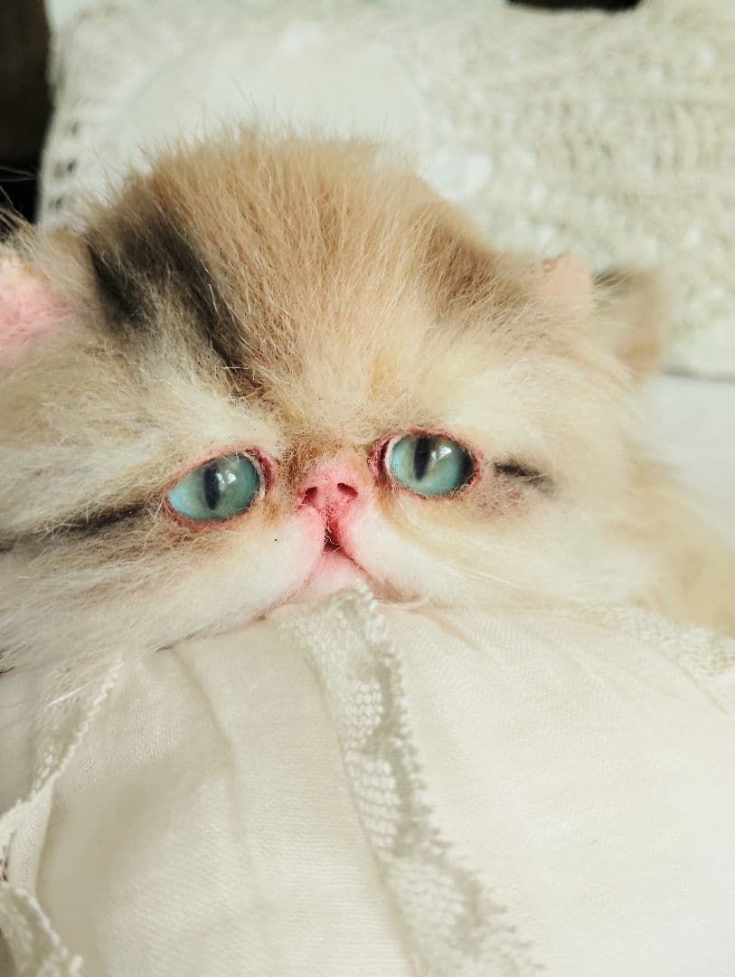 リッズ様御予約❤ペルシャ子猫♡タレ目ちゃん♡アートドール♡ぬいぐるみ♡