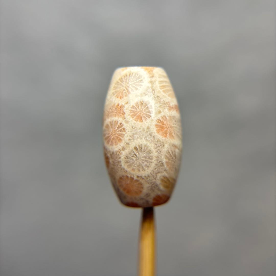 あずきちゃんフォッシルコーラル　天珠　1-318