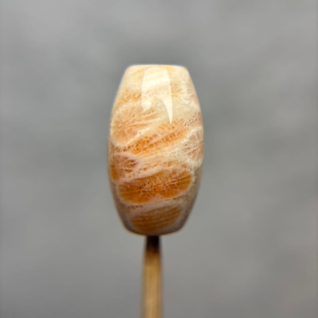 あずきちゃんフォッシルコーラル　天珠　1-318