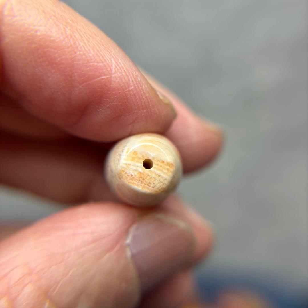 あずきちゃんフォッシルコーラル　天珠　1-318