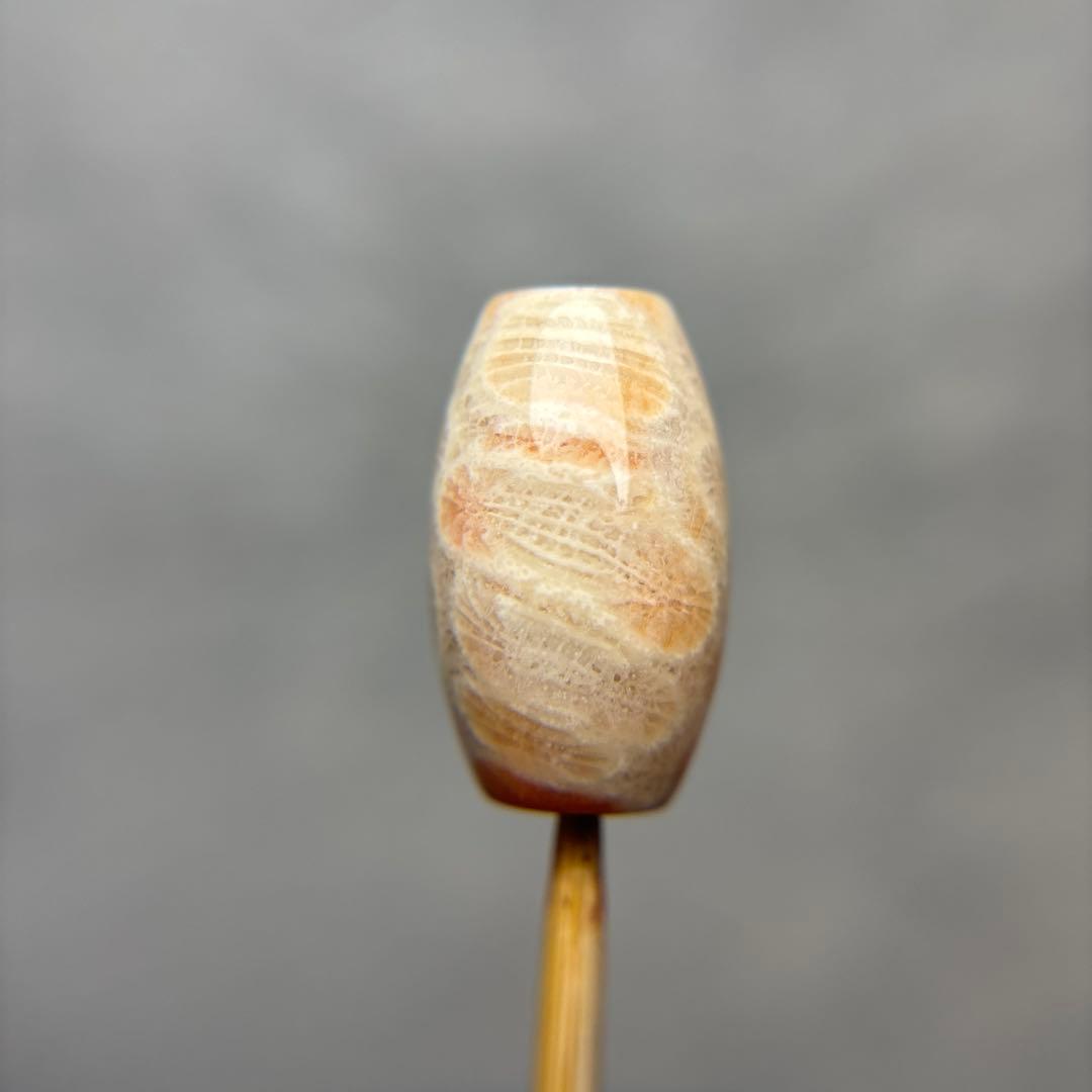 あずきちゃんフォッシルコーラル　天珠　1-318