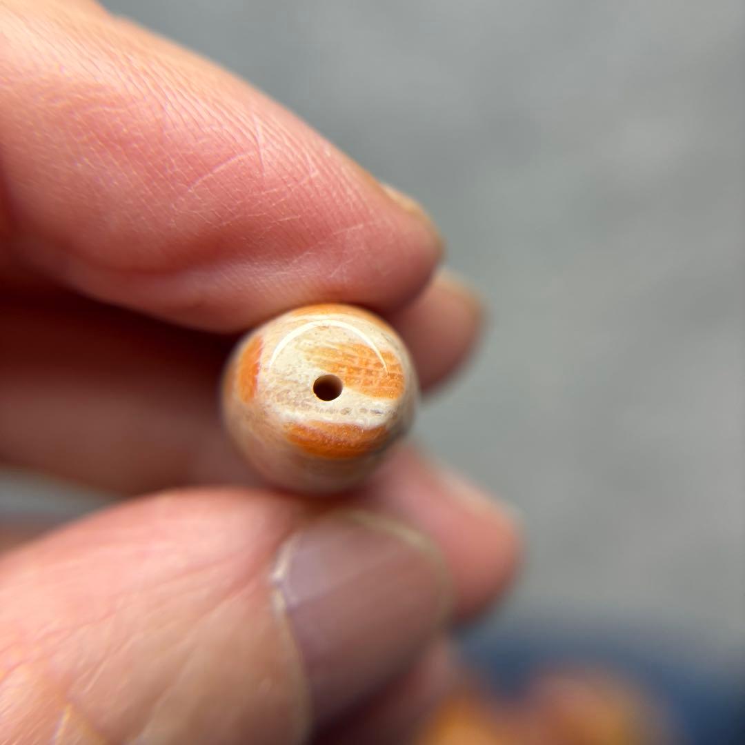 あずきちゃんフォッシルコーラル　天珠　1-318