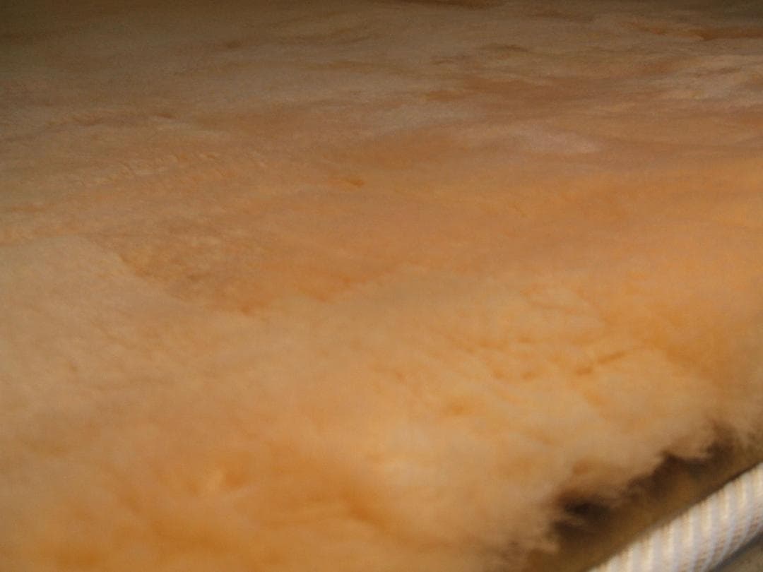 決算最終価格❗️新品＊オーストラリア原皮２５ミリ＊ムートンシーツ（シングル）