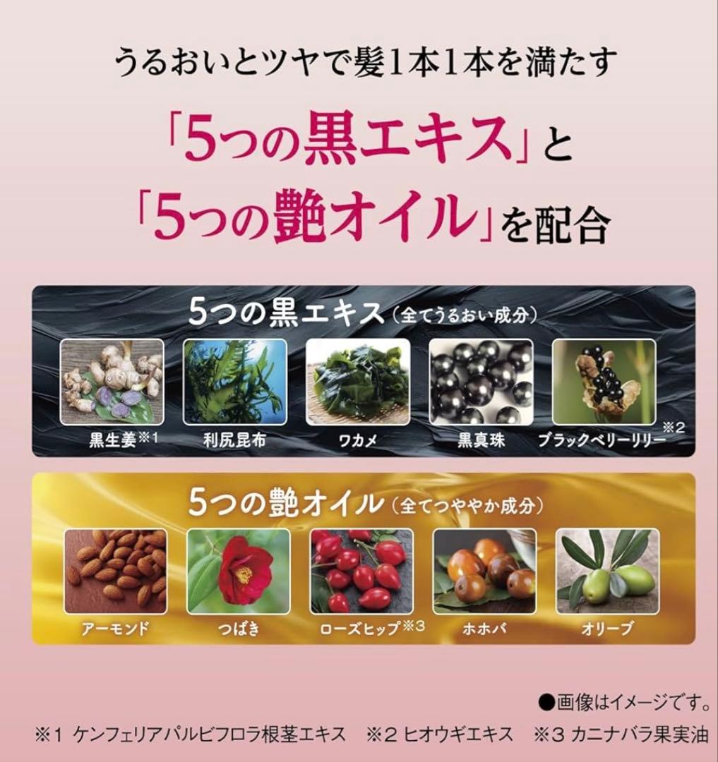 サロンドプロ白髪染めカラートリートメントナチュラルブラック180g【9本セット】