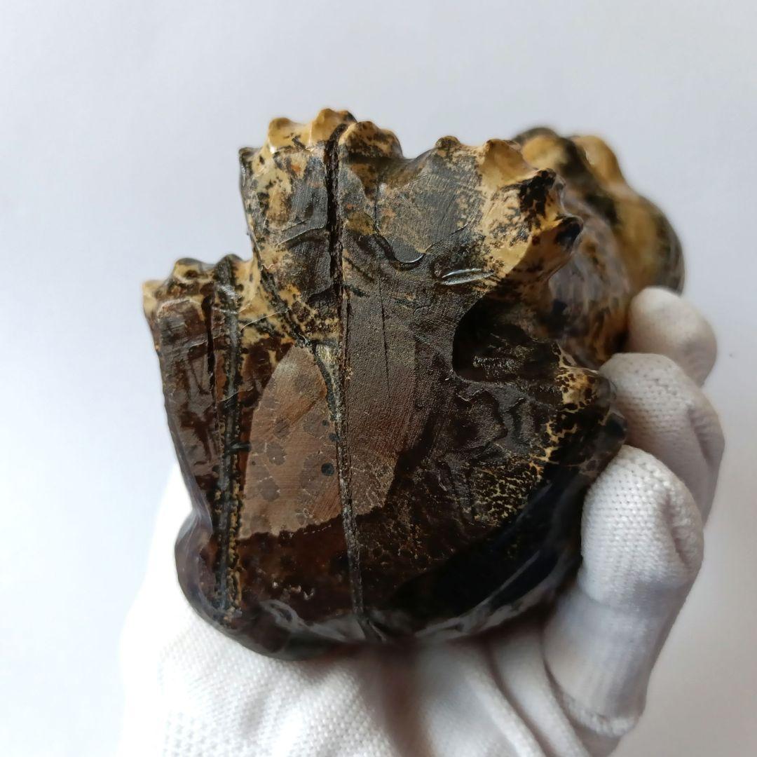 BIG✨ ピクチャージャスパー 絵画碧玉 お座り猫 天然石 パワーストーン