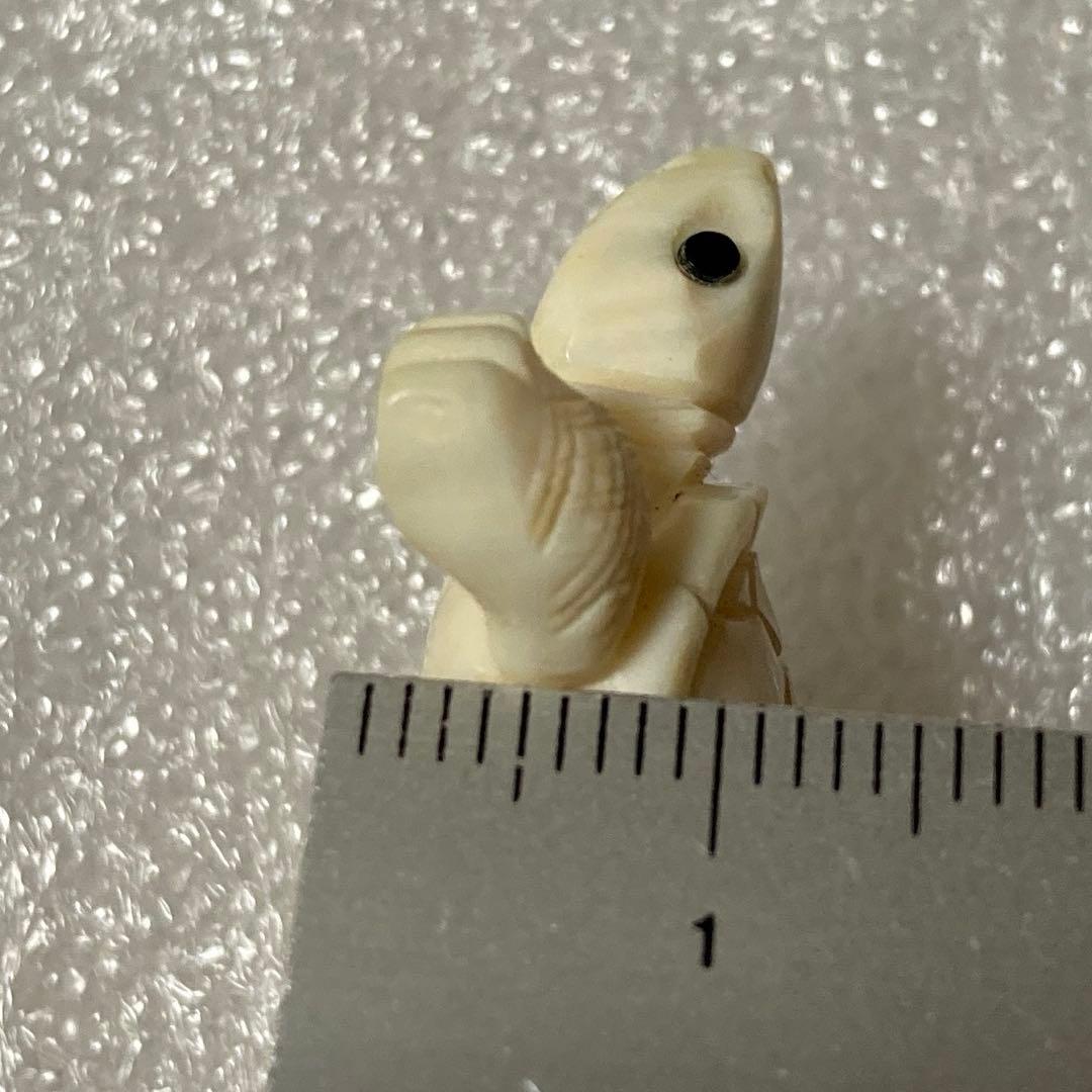 極上天然素材　亀　彫刻　根付　提げ物