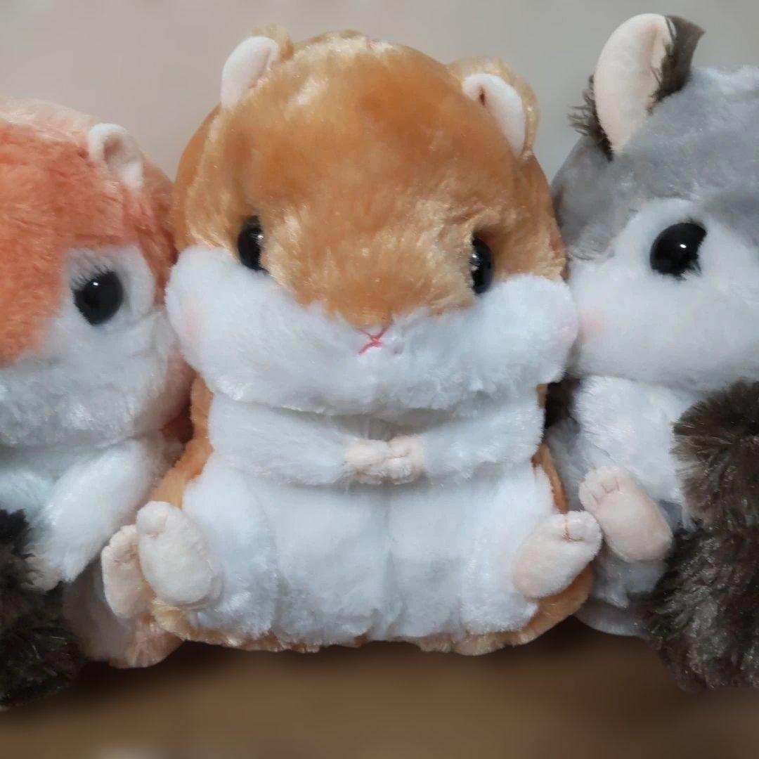 ころはむコロン リスの森全3種 コロン＆りすまる＆えぞろん約30cm
