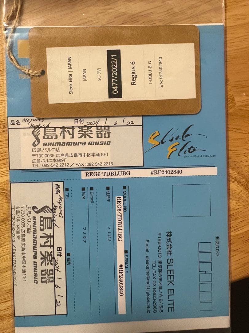 ギター mayones regius 6