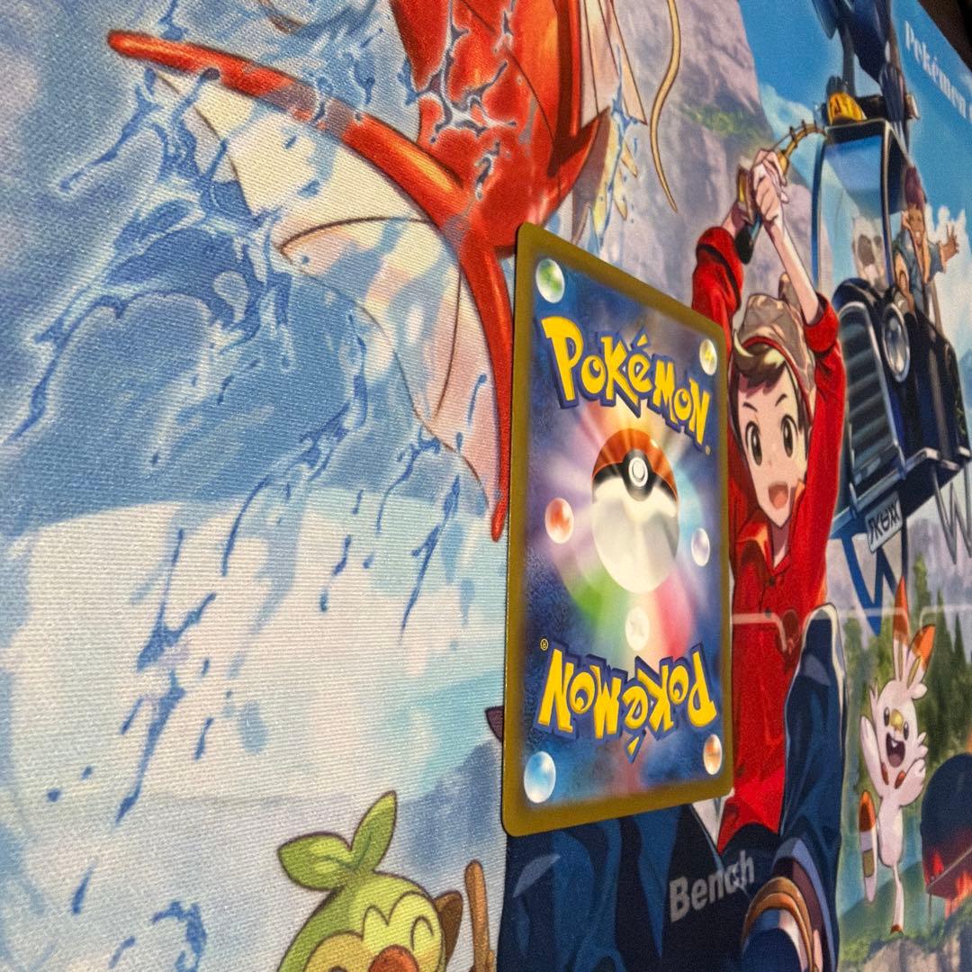 フシギバナex sar 引退品