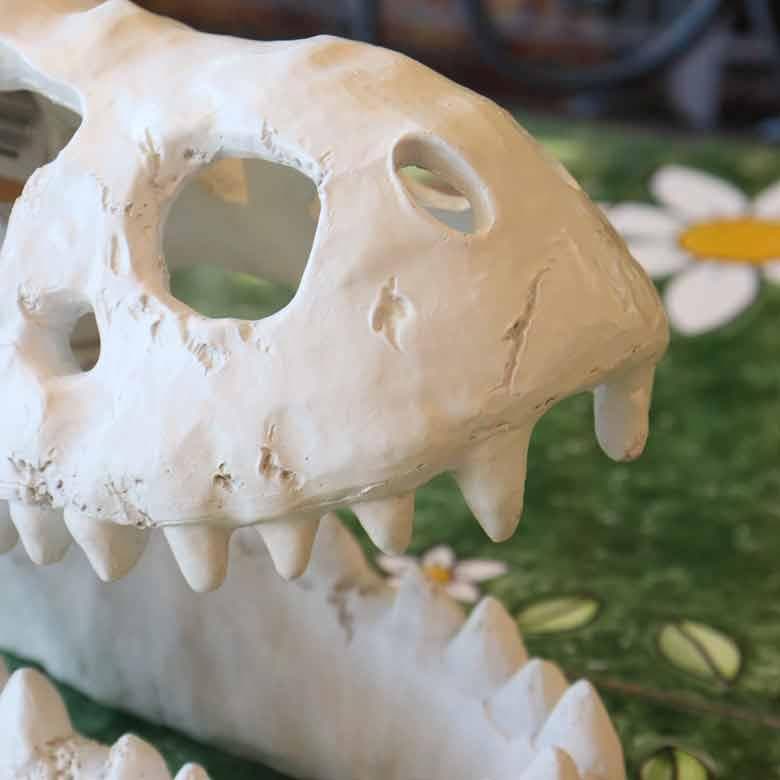 レジン スカルオブジェ ダイナソー 置物 オーナメント アンティーク 恐竜