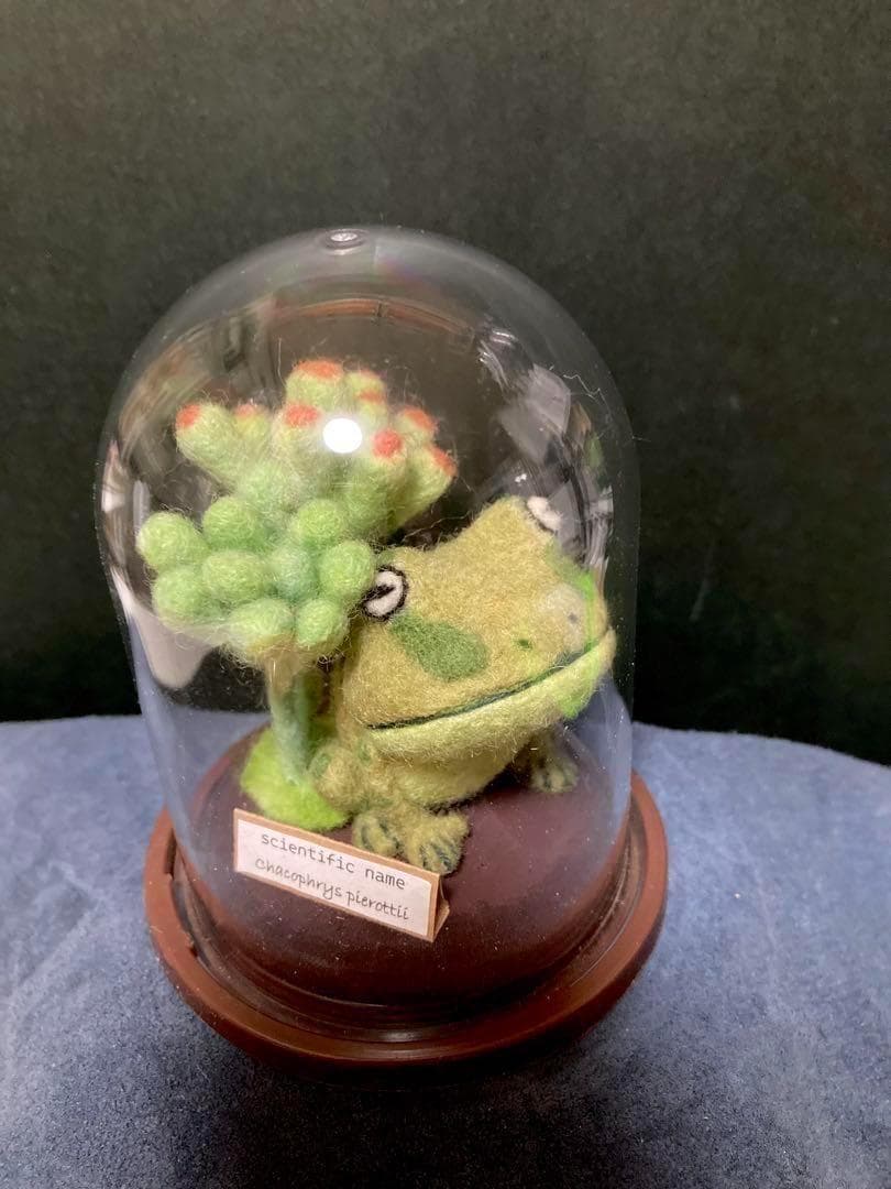 メルカリのみ羊毛・　標本タイプデフォルメ　orderページ