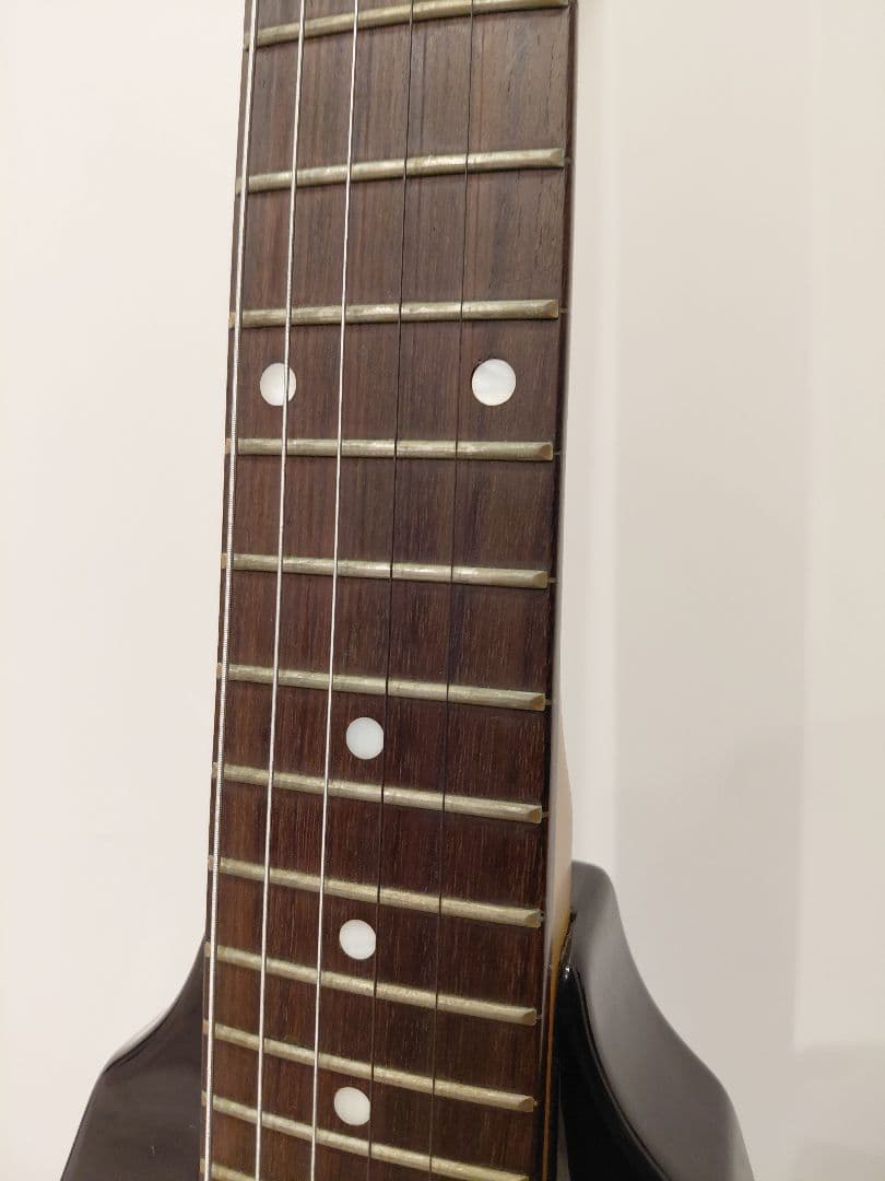 Maison Photogenic フライングV レア変形ギター