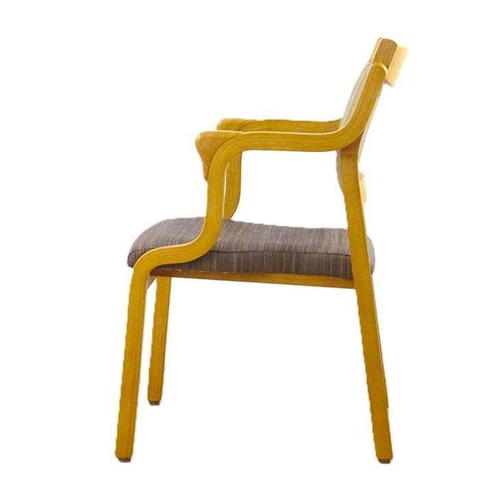 介護用木製椅子 アーム付き ダイメトロール　カルファイバー　姿勢保持　粉瘤　糜爛