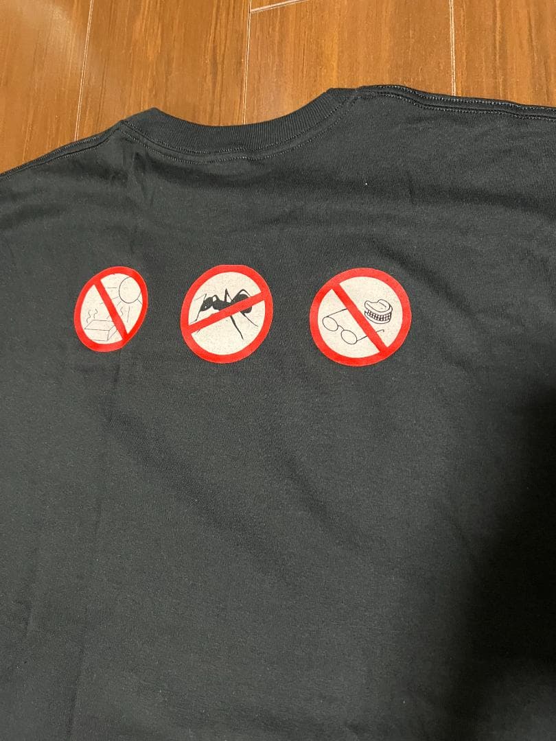 ゼムセルブズ Themselves Tシャツ L ブラック バンドT