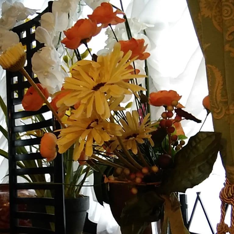 お部屋を、優しく彩ります。