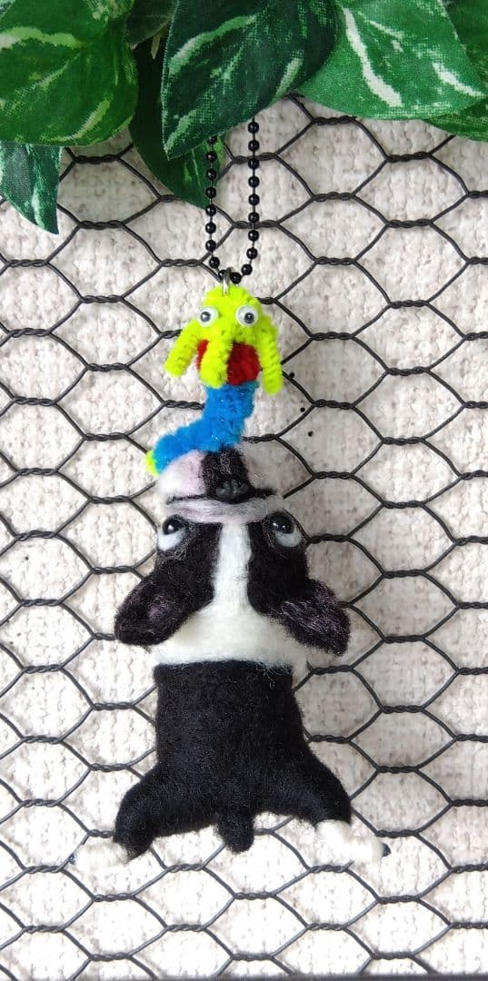 羊毛フェルト　チワワ　フレンチブルドッグ