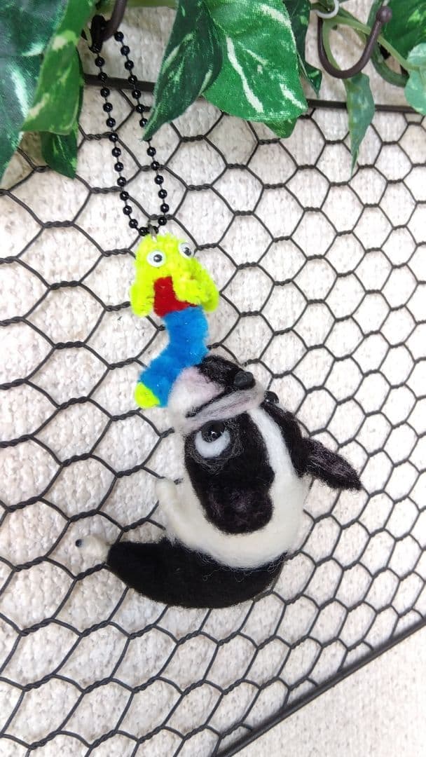 羊毛フェルト　チワワ　フレンチブルドッグ