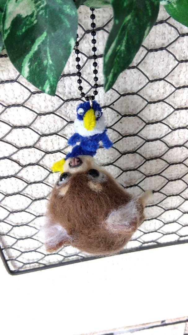 羊毛フェルト　チワワ　フレンチブルドッグ