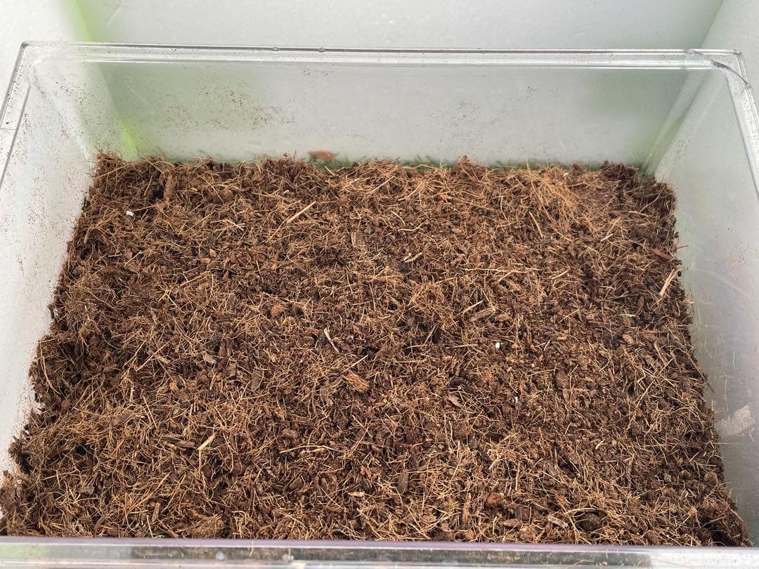 約２００Ｌココピート①