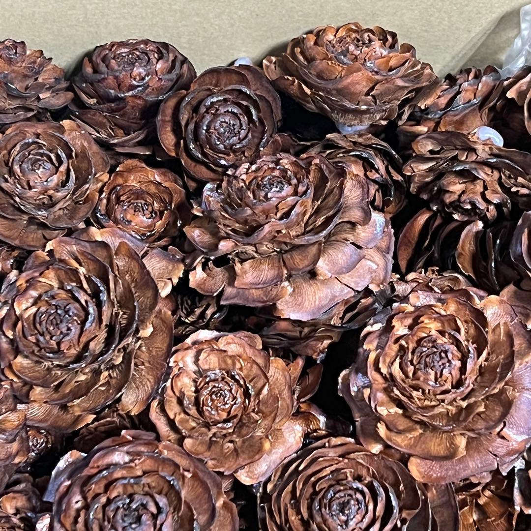 シダーローズ/松ぼっくり/ヒマラヤスギ/ヒマラヤ杉/リース素材 - メルカリ