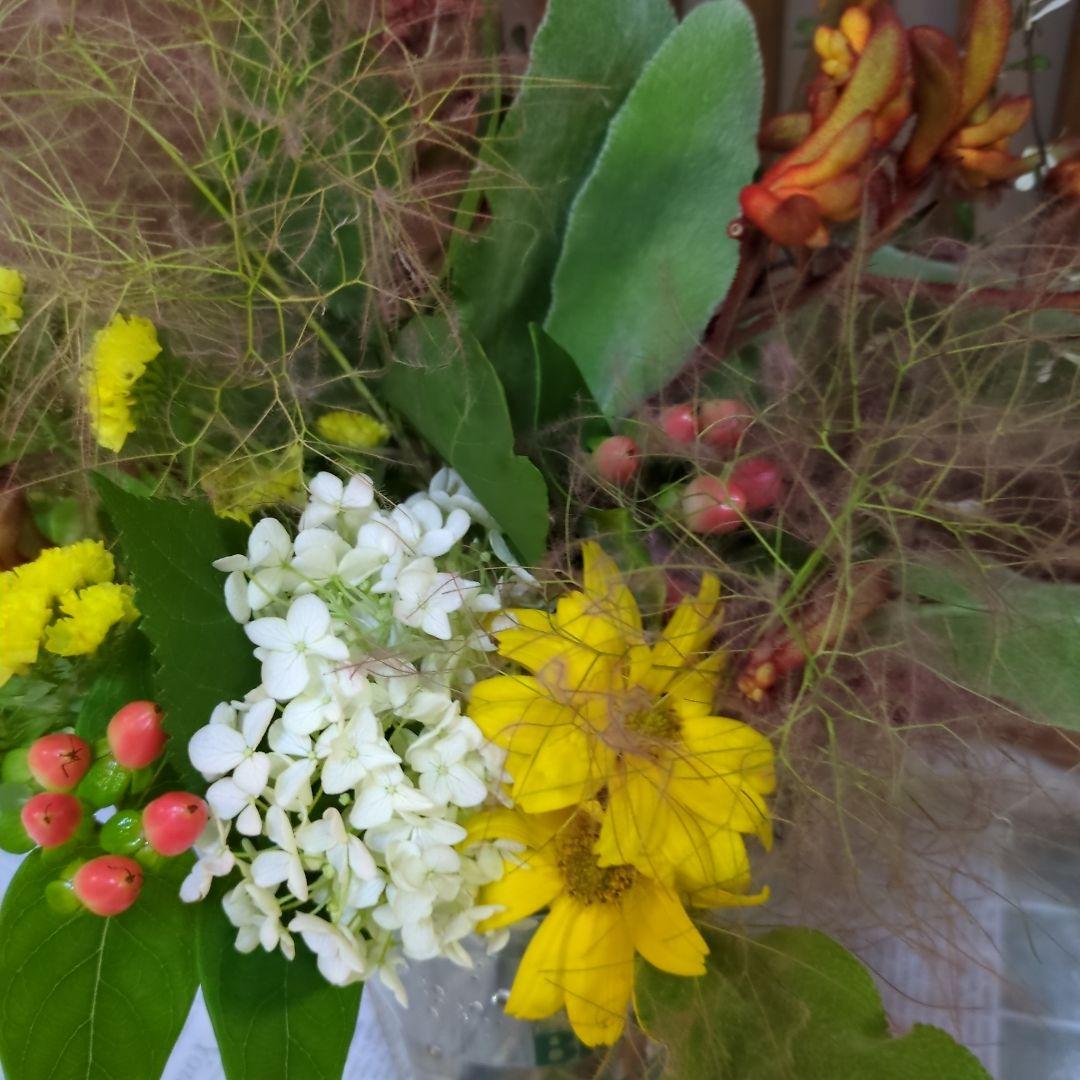 白紫陽花とスモークツリー　カンガルーポーの花束　切花