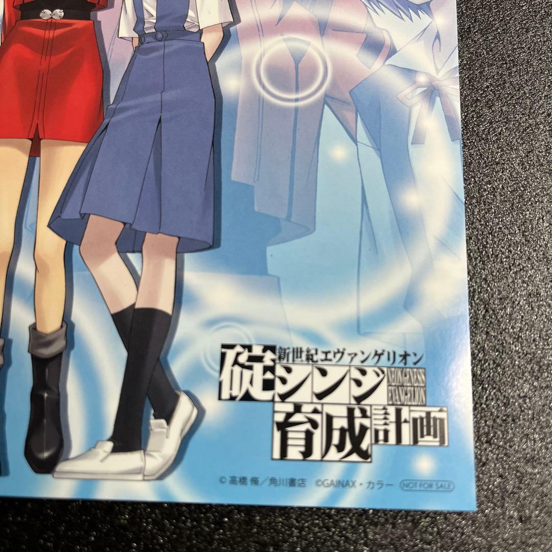 エヴァンゲリオン 碇シンジ 育成計画 特典 イラストカード 綾波レイ