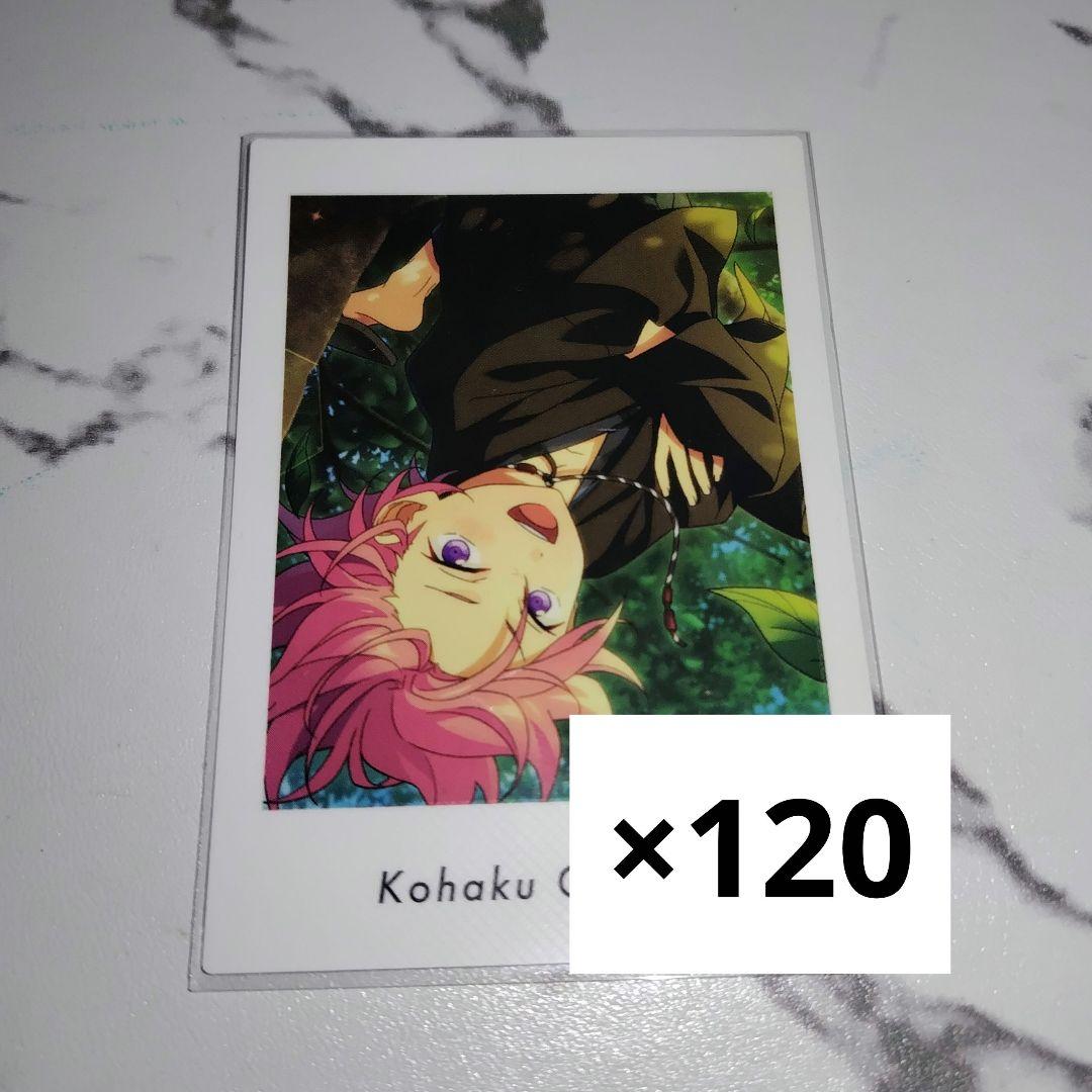 桜河こはく ぱしゃっつ 120枚