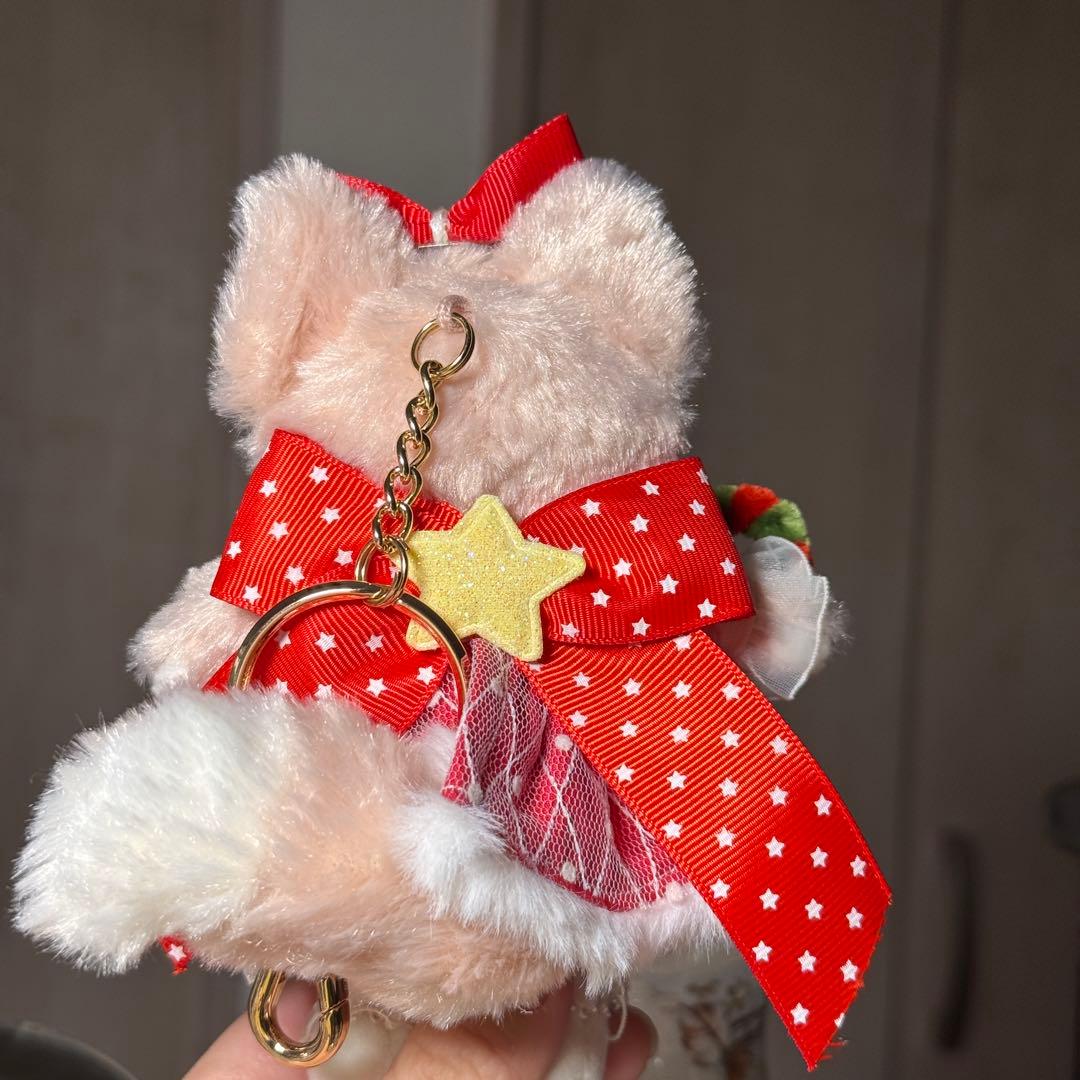 お顔厳選　リーナベルぬいぐるみキーチェーン➕コスチュームセット