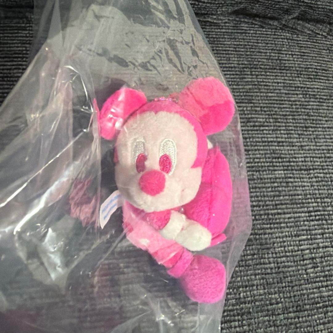 ディズニーランド パルパルーザ ミニパル ミニぬいぐるみチャーム