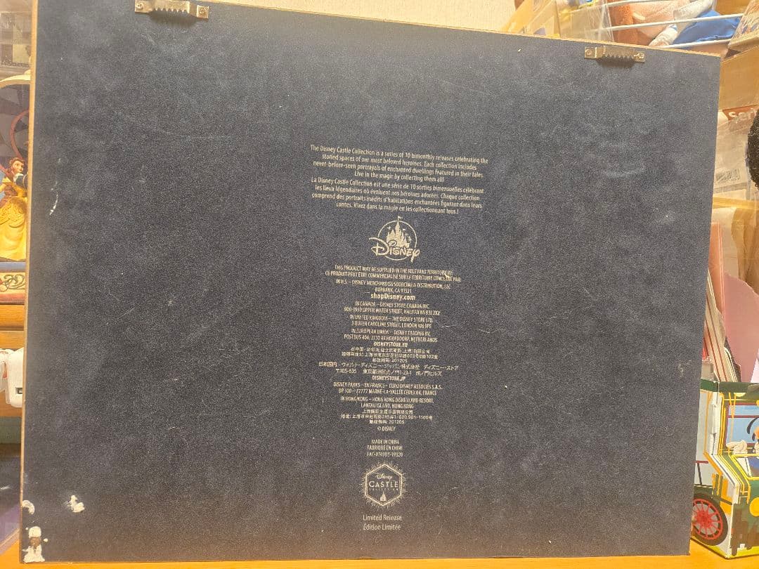 【訳あり】ディズニー　キャッスルコレクション　ピンバッジ　10種　フレーム付