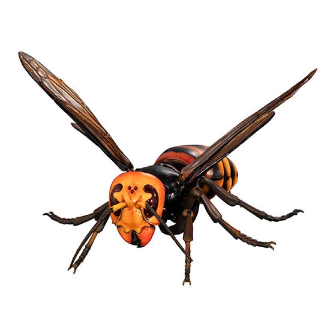 いきもの大図鑑アドバンス スズメバチ02 カプセル版 2点セット - メルカリ