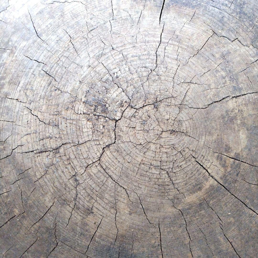 昭和レトロ　けやき臼　木臼　餅つき　アンティーク古道具　ジャンク品