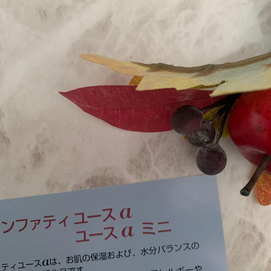 アンファティ　ユースNA大　 新箱2本