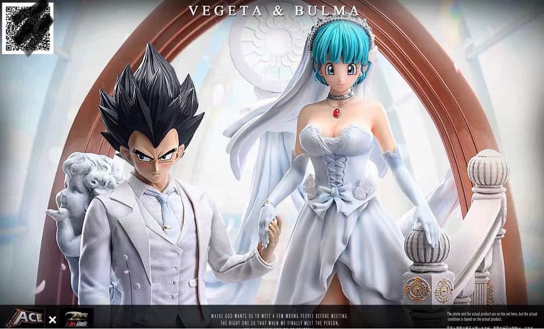ベジータ＆ブルマ 結婚 ドラゴンボール フィギュア ガレージキット1