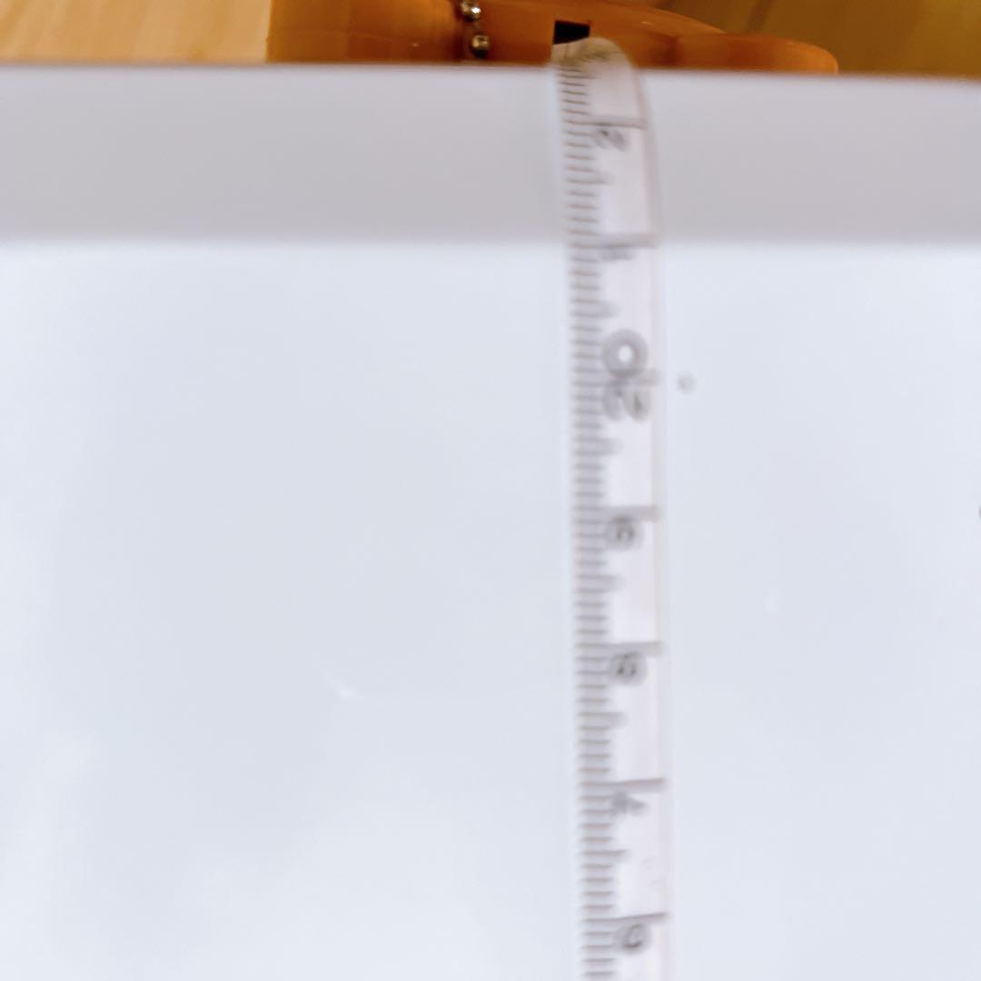 一点のみ✨ホワイト　5リットル　ごみ箱 フタ付き