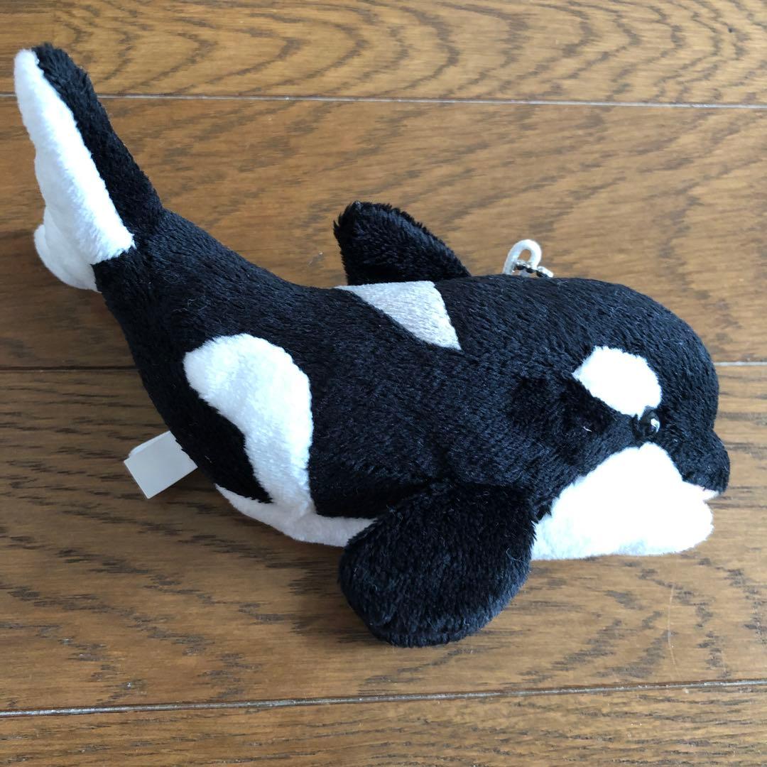 シャチ 名古屋港水族館オリジナル限定マスコットぬいぐるみチェーン