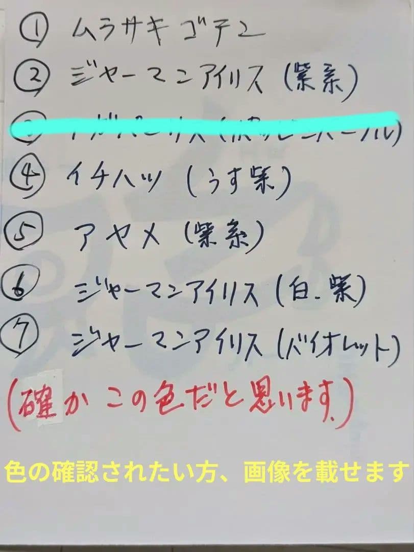 腰を痛め育てられない為、庭を全て整理中!!(こちらからお好きな物をお選び下さい)