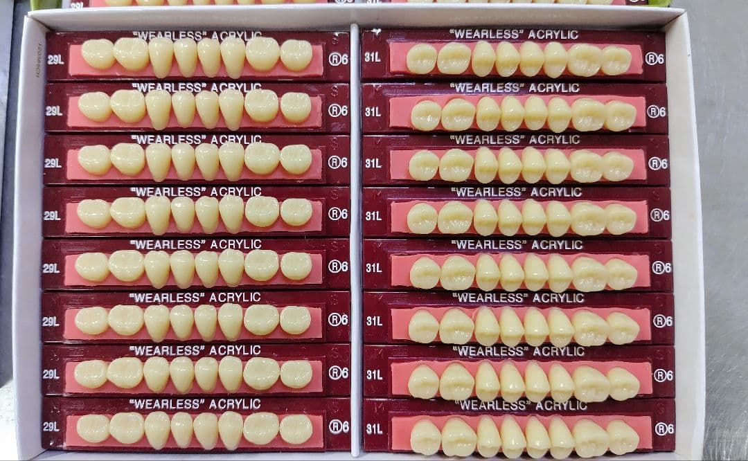 GC ウェアレスレジン臼歯　人工歯 歯科　技工