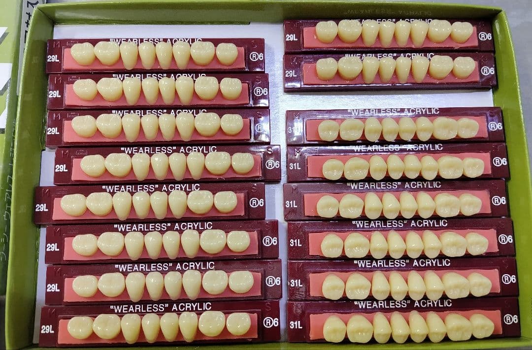 GC ウェアレスレジン臼歯　人工歯 歯科　技工