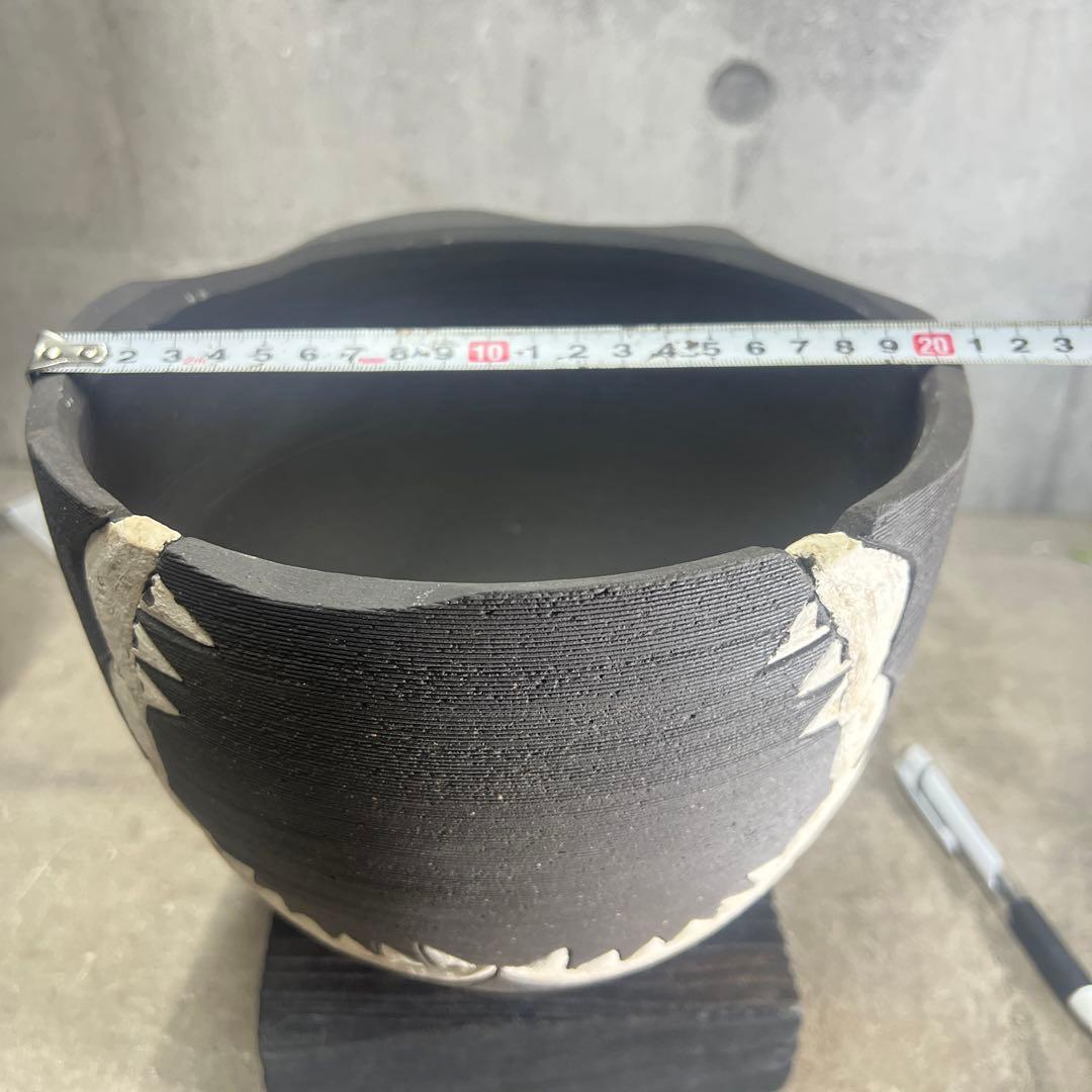 リー樣確認手作植木鉢 LLサイズ 検（ 塊根植物 グラキリス パキプス )