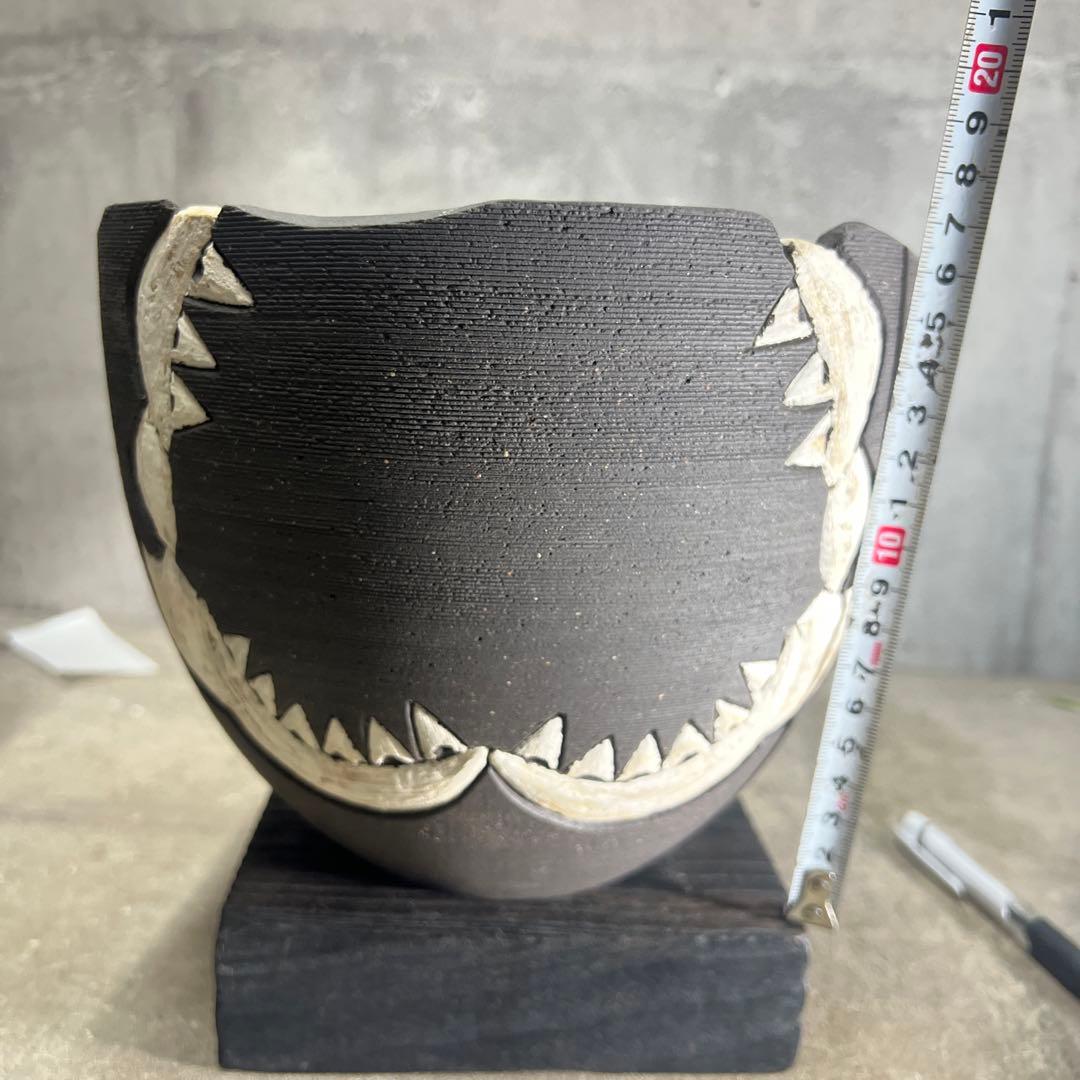 リー樣確認手作植木鉢 LLサイズ 検（ 塊根植物 グラキリス パキプス )